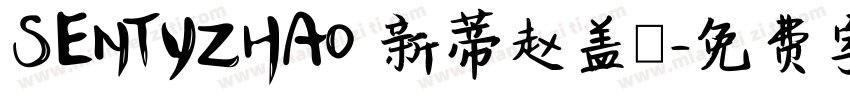 SENTYZHAO 新蒂赵盖頫字体转换